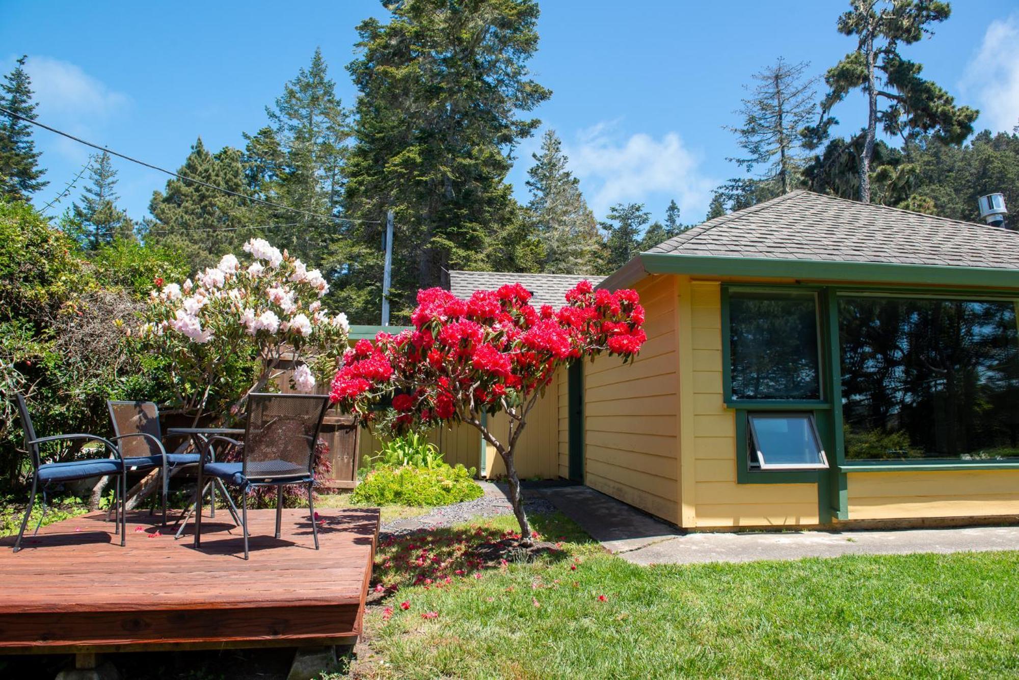 Inn At Buckhorn Cove Little River Exterior foto